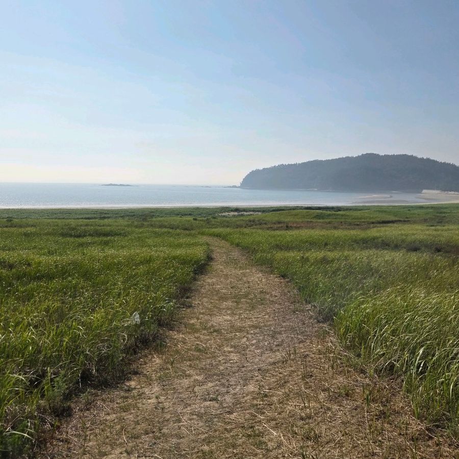 신두리해수욕장