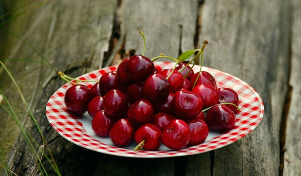 타트체리 부작용 효능