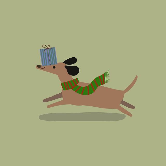 강아지 장난감 종류와 선택법 – 건강과 재미 고려