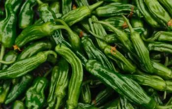 꽈리고추 효능 및 영양소