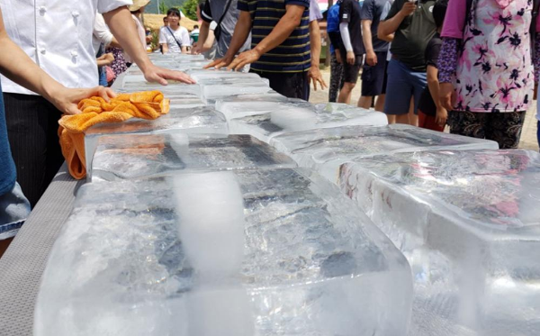 홍천-찰옥수수축제-이미지