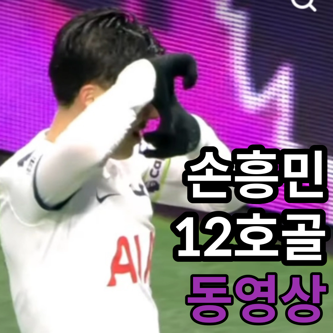 손흥민 12호골 동영상(출처-중계 캡쳐)