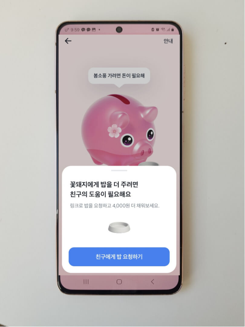 토스 꽃돼지