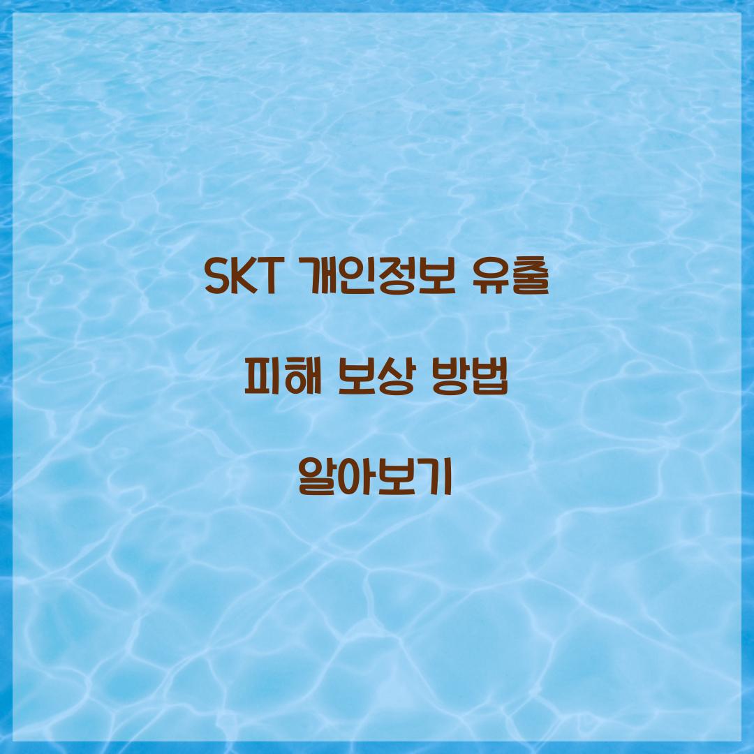 skt 개인정보 유출