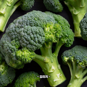 루테인 많은 음식