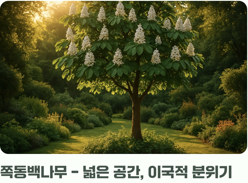 어떤 나무를 선택할까?