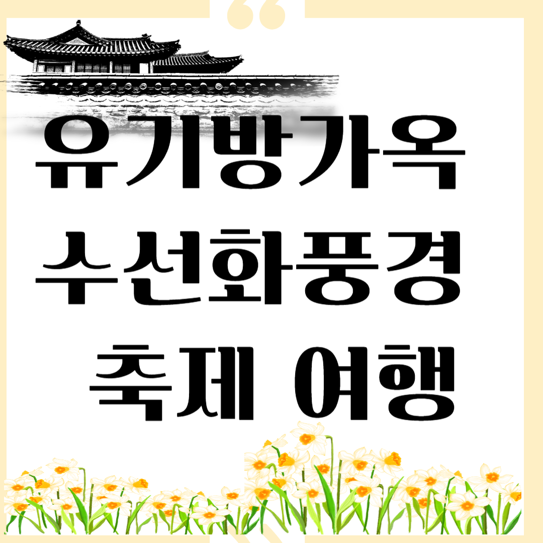 유기방가옥 수선화풍경 축제여행 이미지