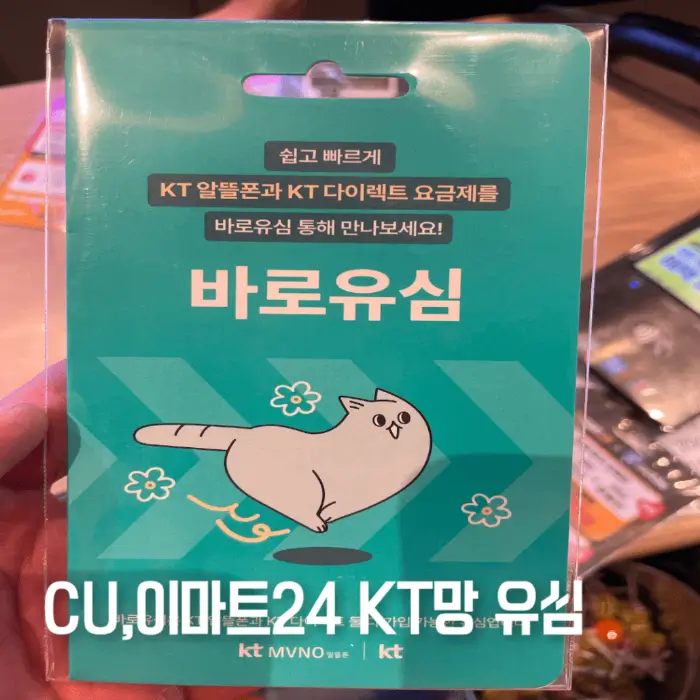 KT망 선불유심