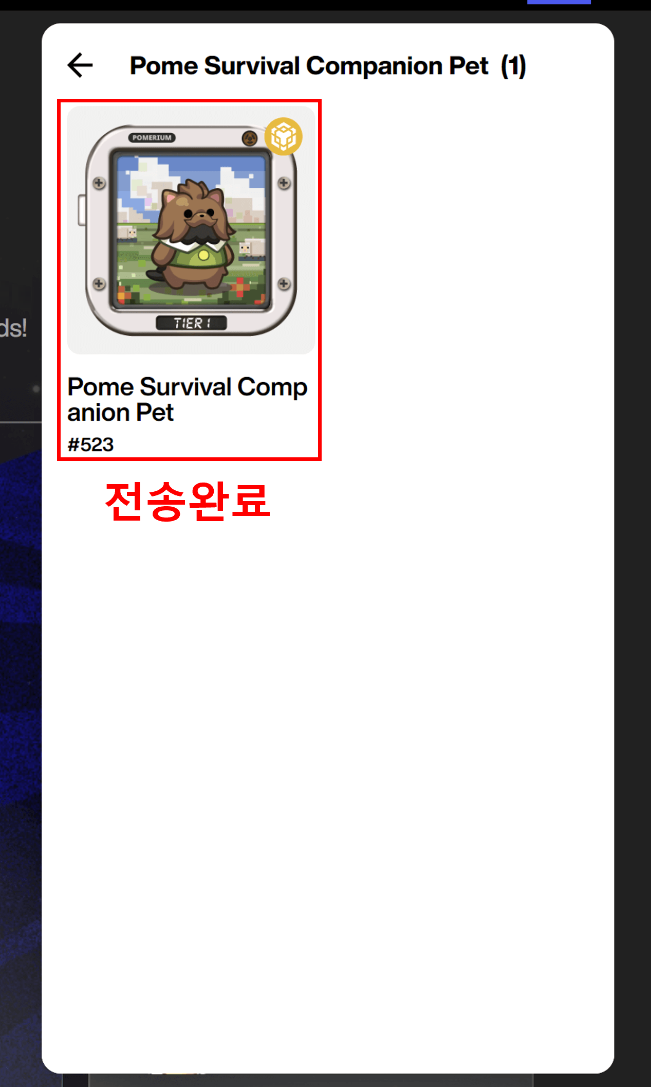 NFT 포메리움 지갑으로 전송하기10