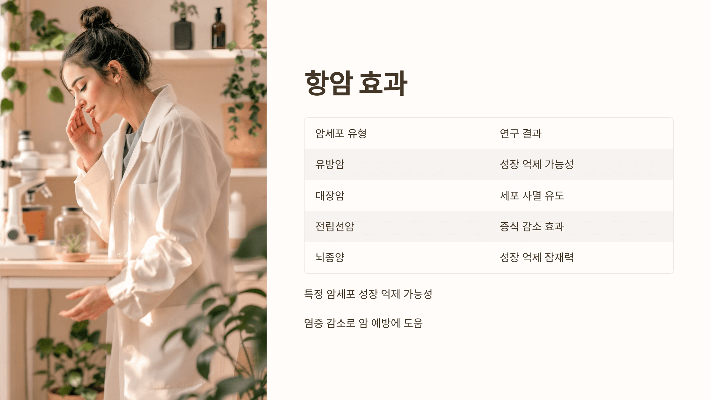 보스웰리아와 관련된 사진입니다.