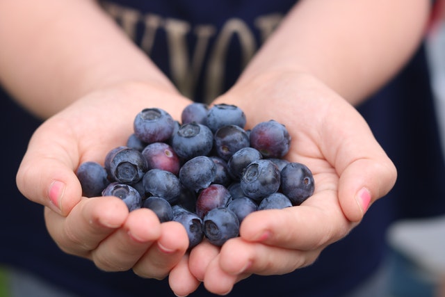 블루베리