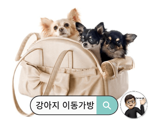 가방에 담겨 있는 강아지들