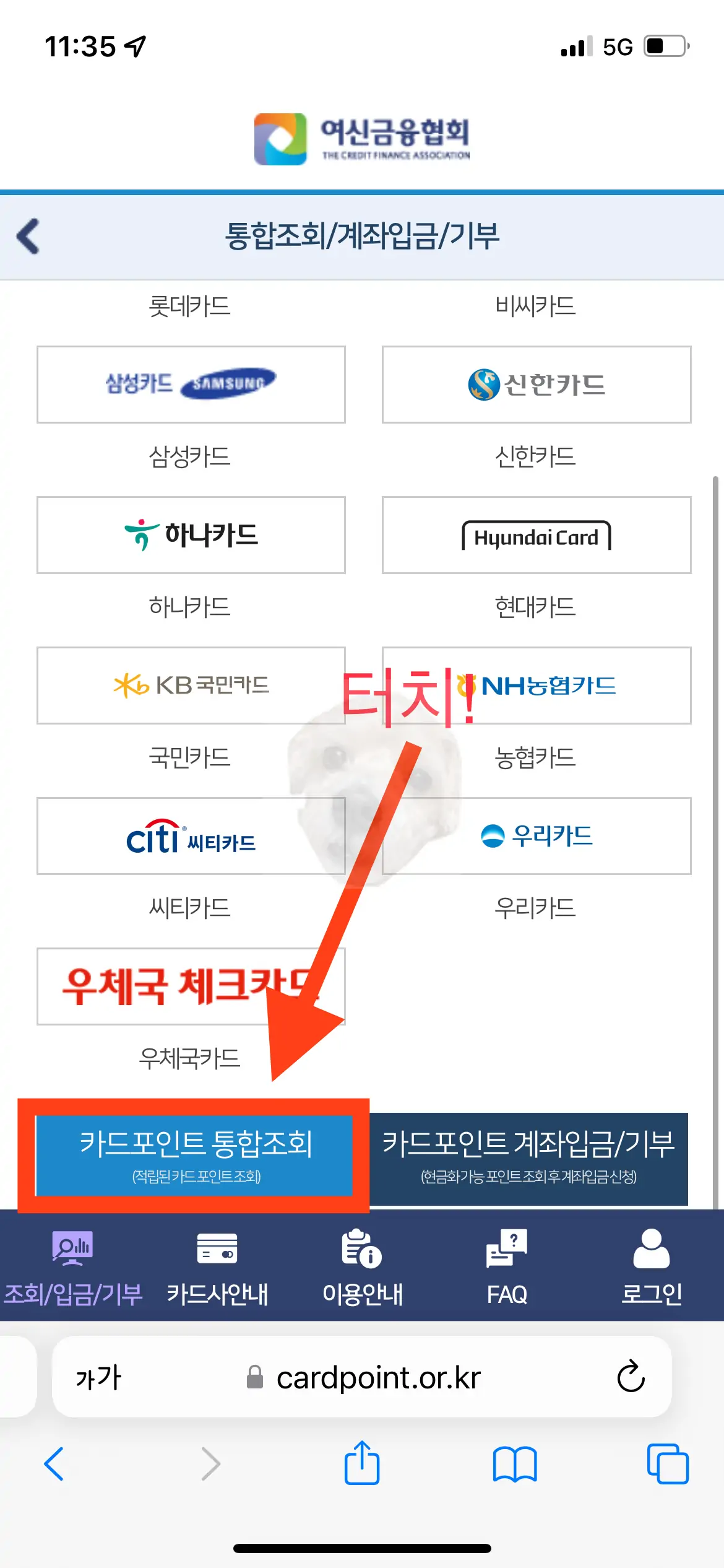 카드사 포인트 조회