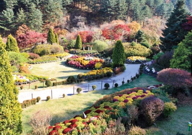 아침고요수목원 가을사진