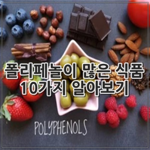 폴리페놀이 많은 식품 10가지 알아보기
