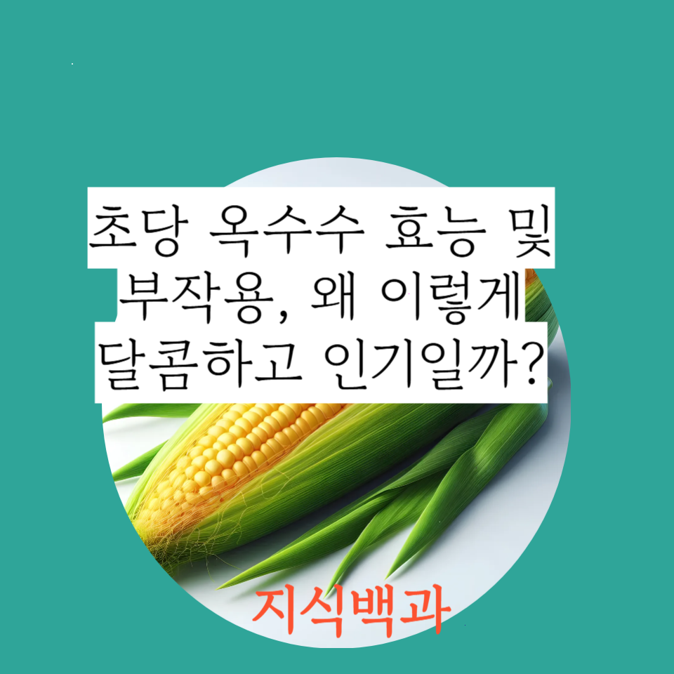 초당 옥수수 효능 및 부작용, 왜 이렇게 달콤하고 인기일까?