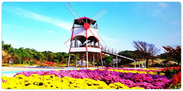 충남-태안-여행-코리아플라워파크-풍차