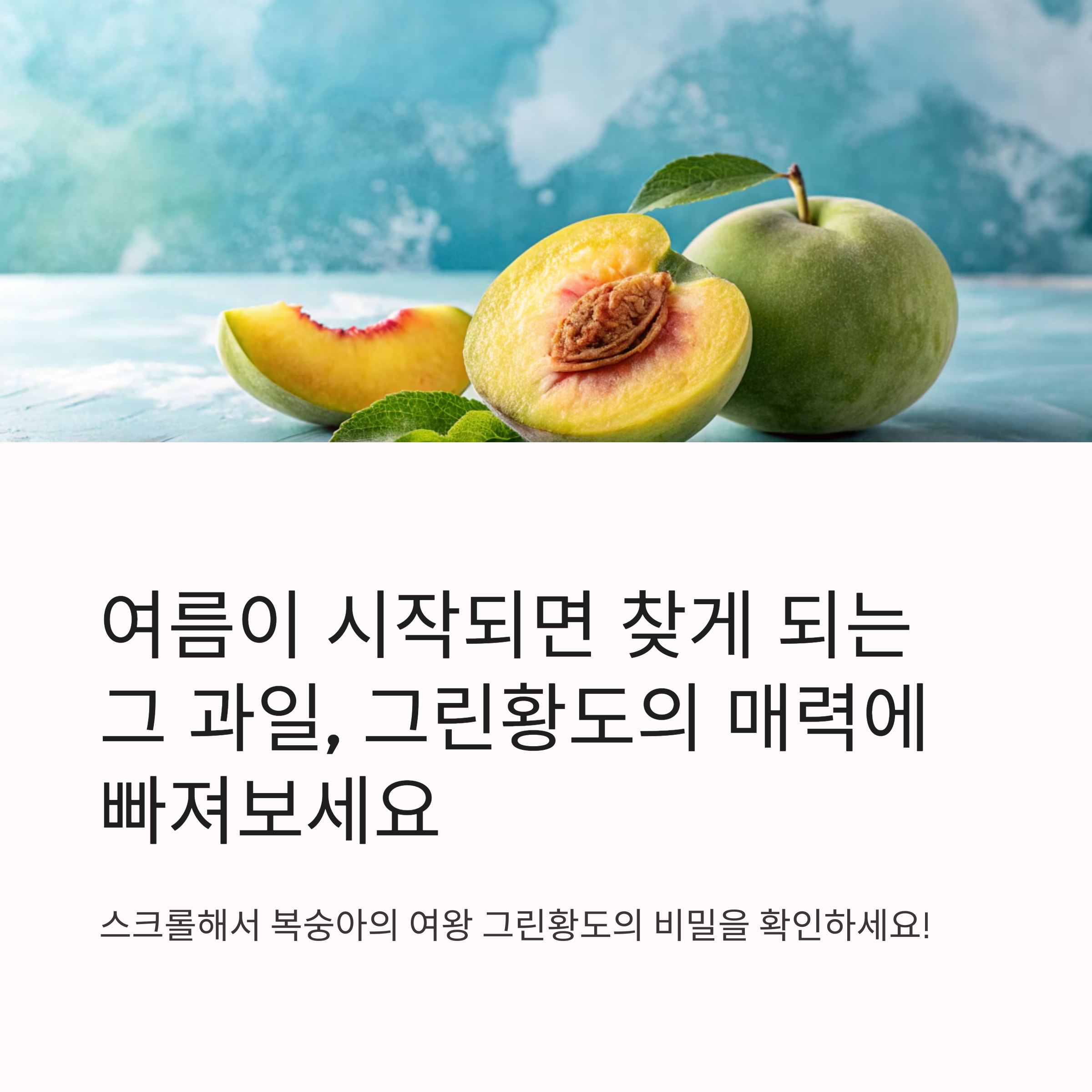 복숭아 시즌의 시작, 그린황도가 인기 최고인 이유