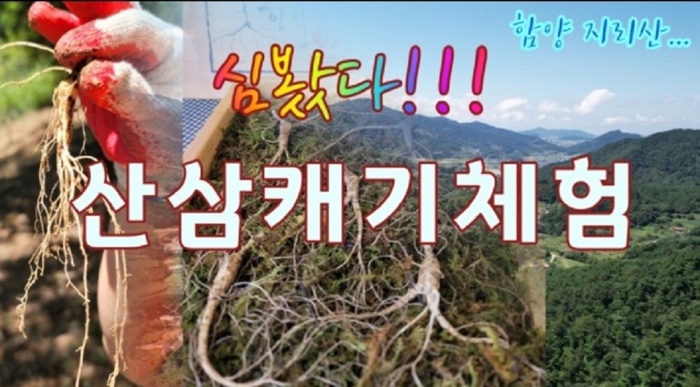 함양-오봉산-산양삼-3대가족-힐링팜