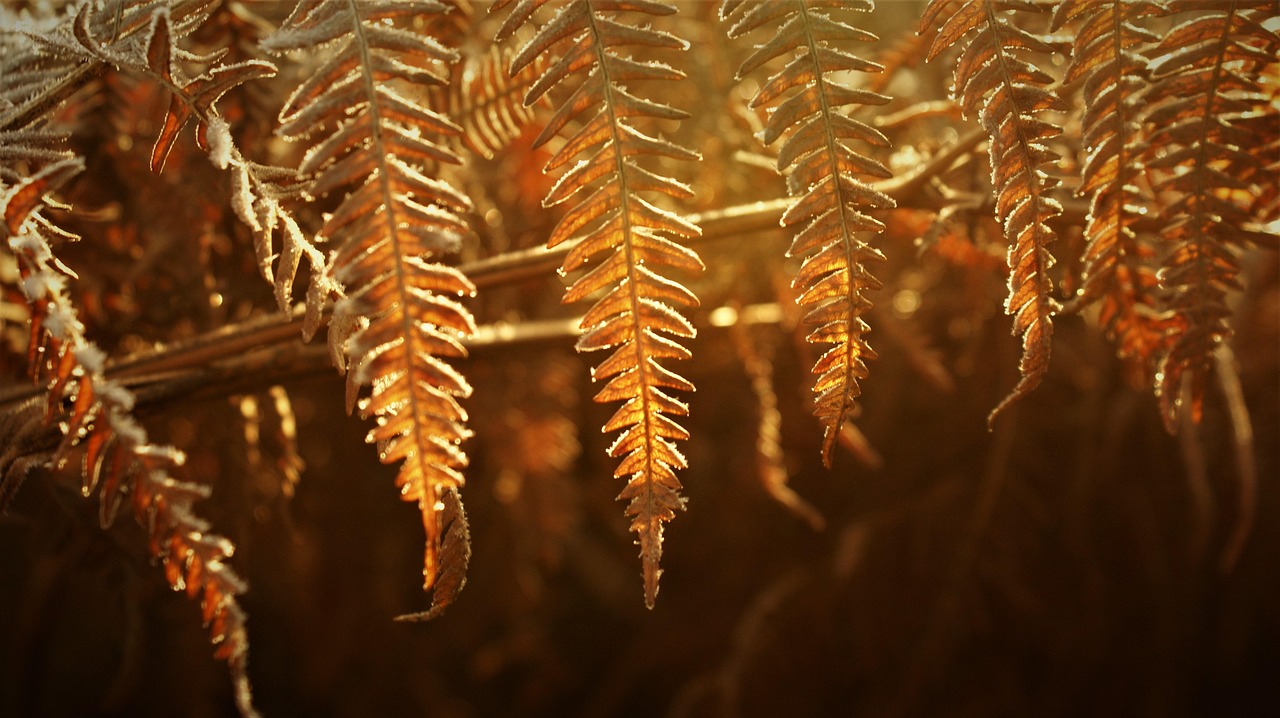 비염에 좋은 영양제