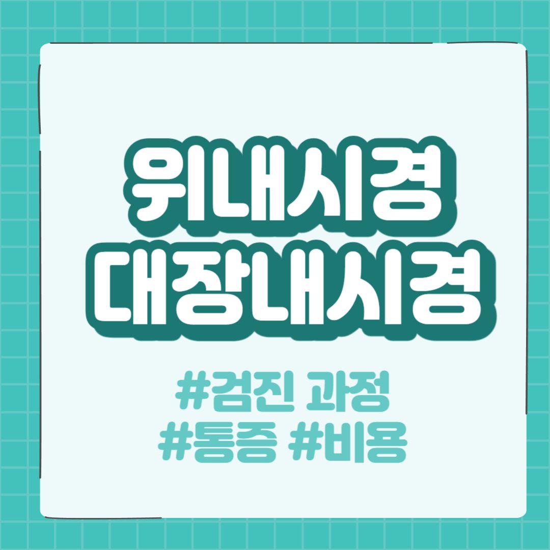 위내시경&#44; 대장내시경의 모든 것
