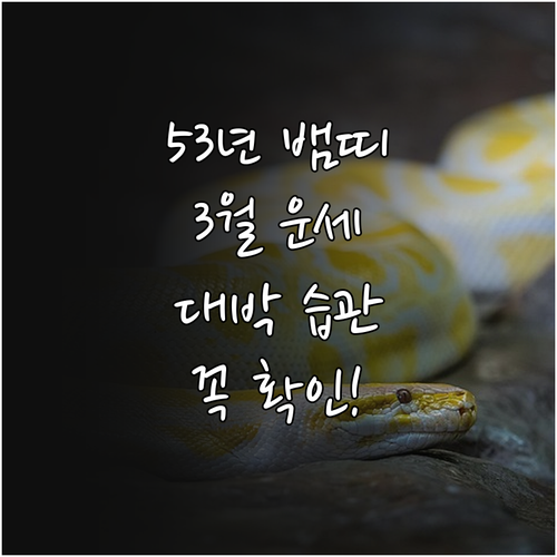 2026년 3월 1953년생 뱀띠 운..