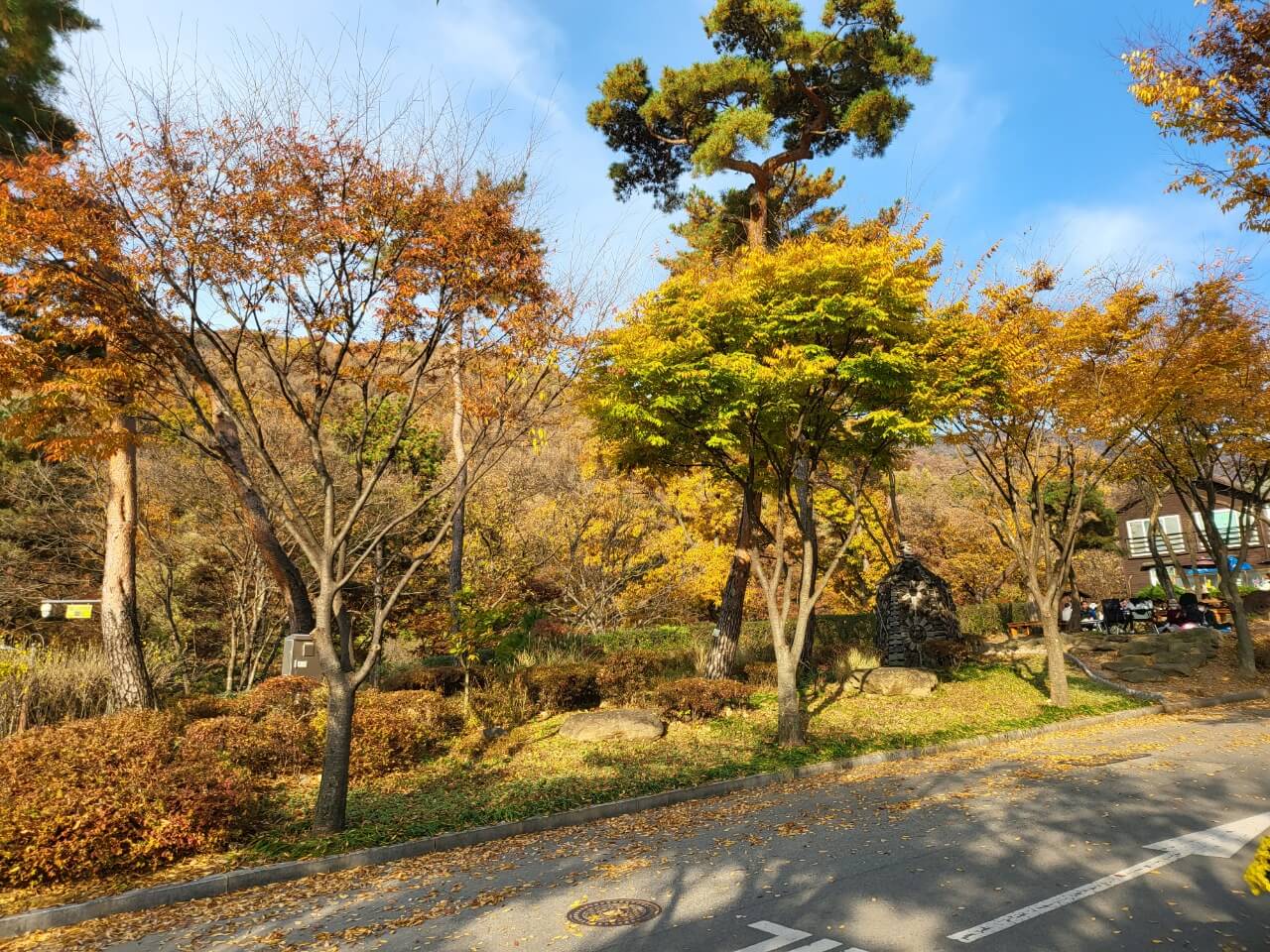 용인자연휴양림 풍경