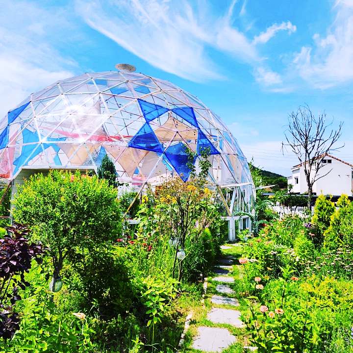 생방송오늘저녁 장미 에이드 250종 식물원 가드닝 돔 카페 아산 맛집 추천