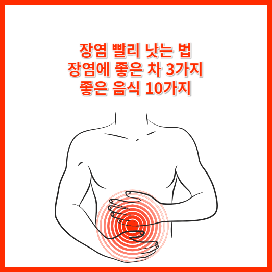 장염 빨리 낫는 법