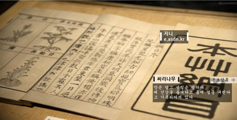 싸리나무 효능 12가지와 부작용 총정리