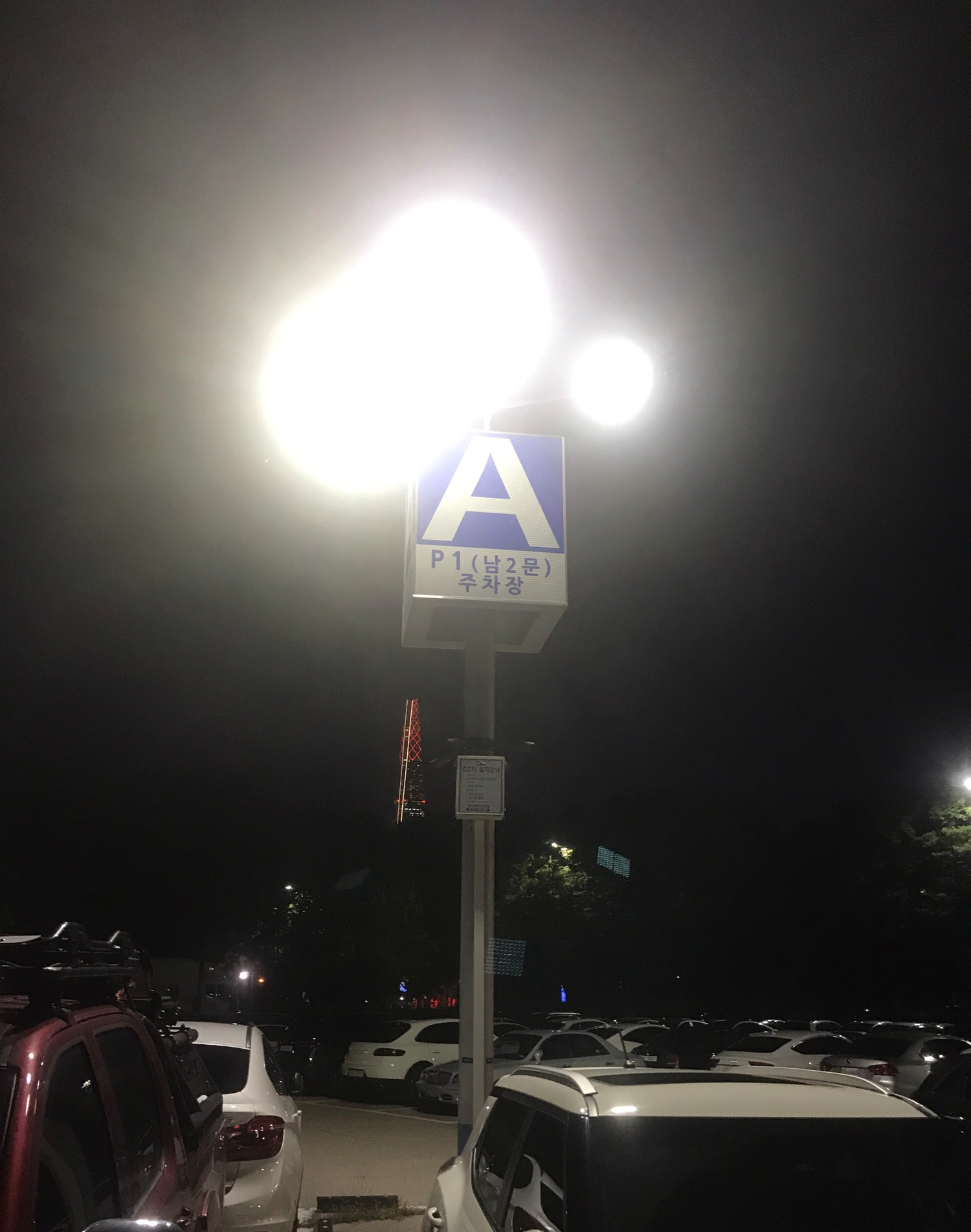 서울 올림픽공원 강아지 산책 출입시간 및 산책코스