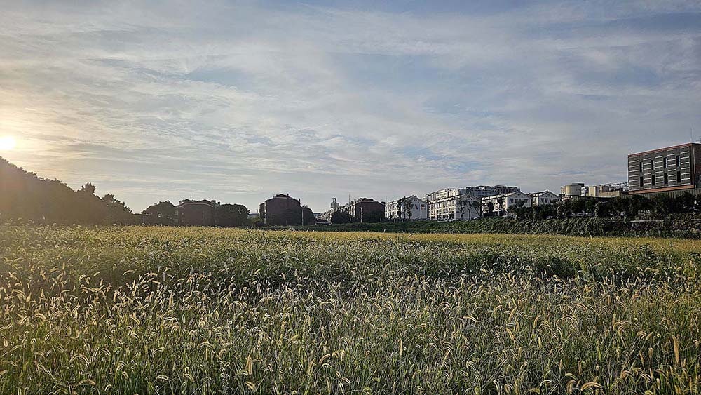 서귀포 해질녘 빛과 그림자