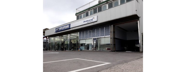 양주시 블루핸즈