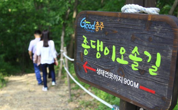충주호 종댕이길