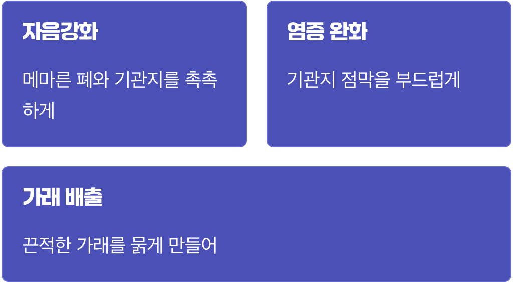 1. 마른 기침 잡는 천연 기관지 영양제