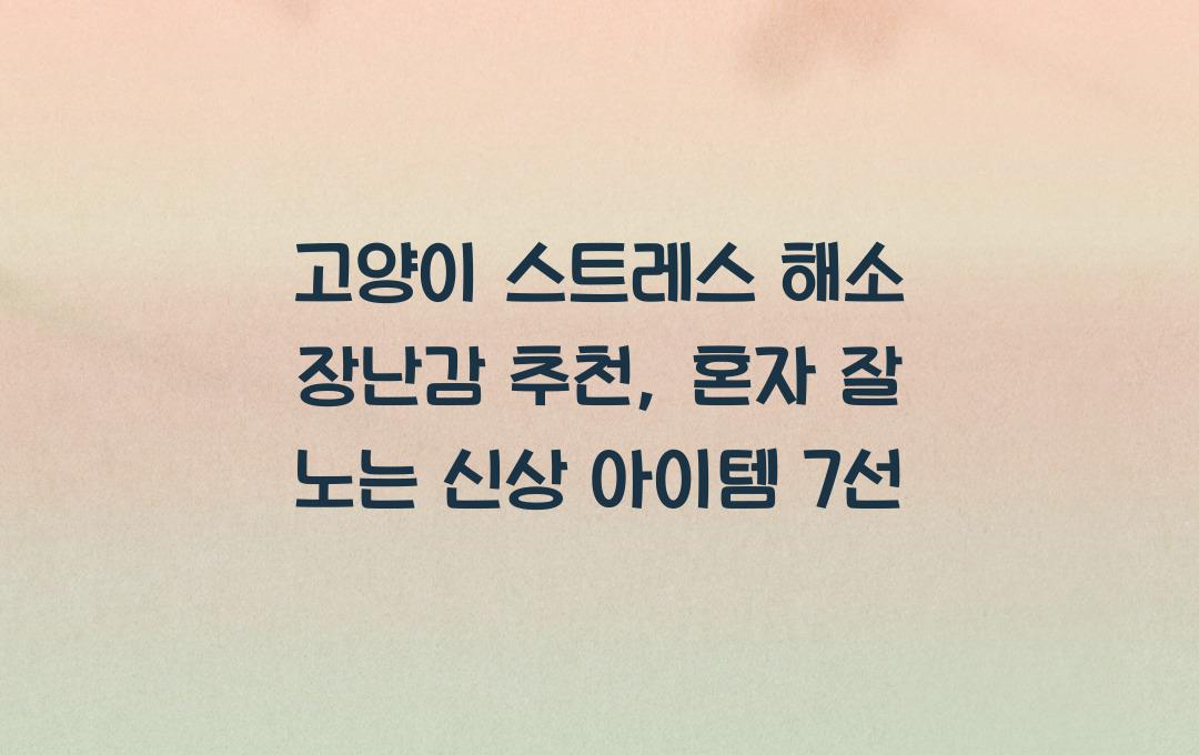 고양이 스트레스 해소 장난감 추천, 혼자서도 잘 노는 아이템