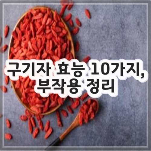 구기자 효능 10가지, 부작용 정리