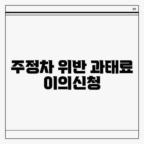 주정차 위반 과태료 이의신청