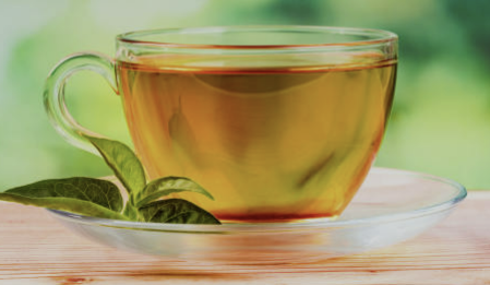 둥글레차 효과 물대신 효능과 부작용 만드는방법 총정리