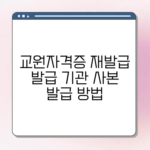 교원자격증 재발급 발급 기관 사본 발급 방법