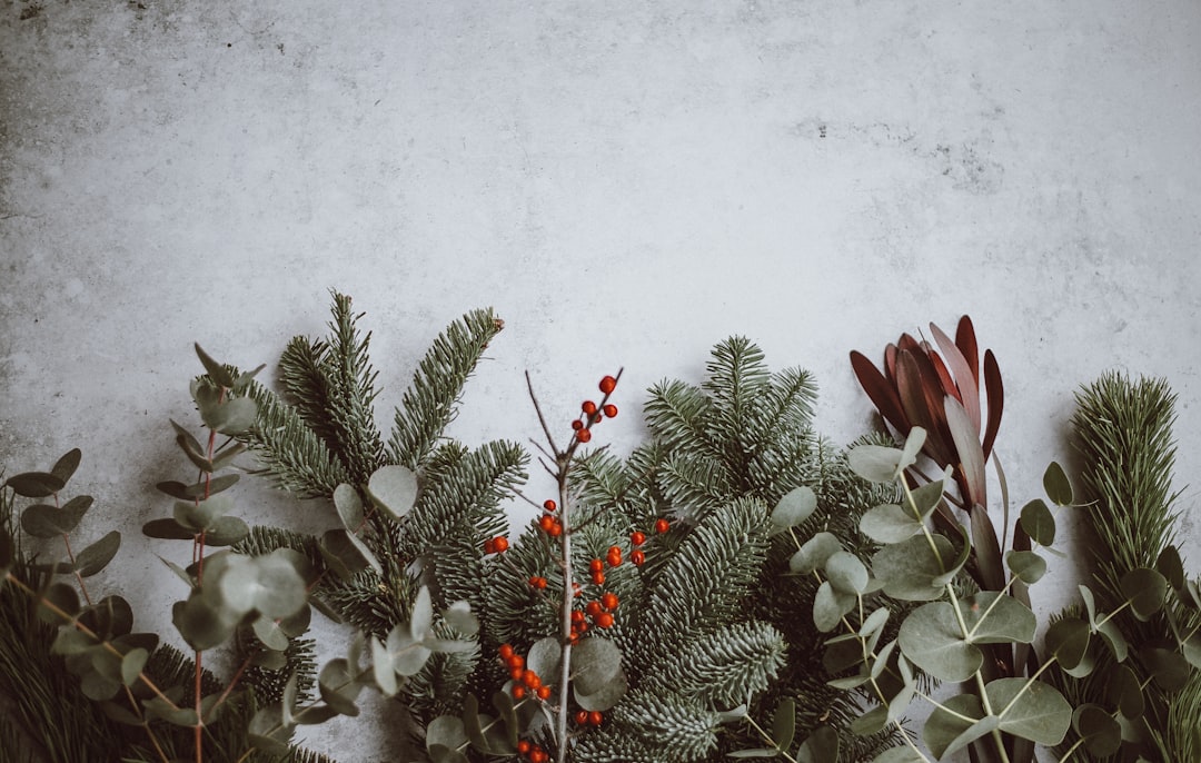 December