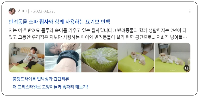 냥이 집사 로망 실현_3_subsection