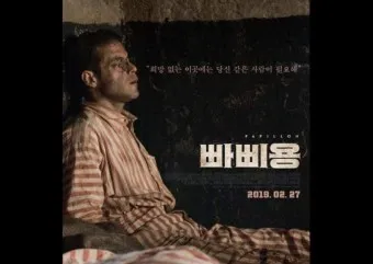 빠삐용 가격 키우기 분양 수명 먹이 성격 종류_20