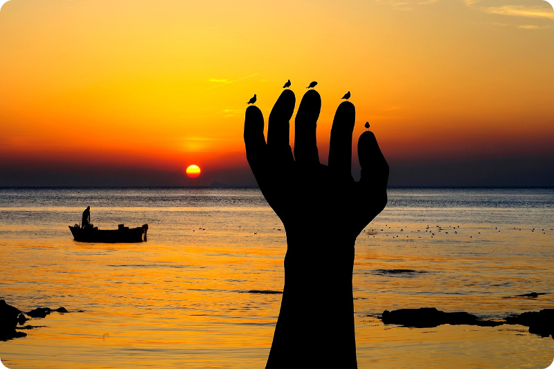 포항 호미곶 해맞이 광장 새해 일출 명소/출처: 호미곶으로의 초대