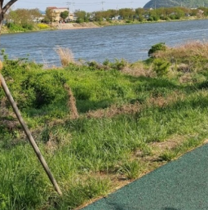 부산 차박하기 좋은 성지 TOP 5곳