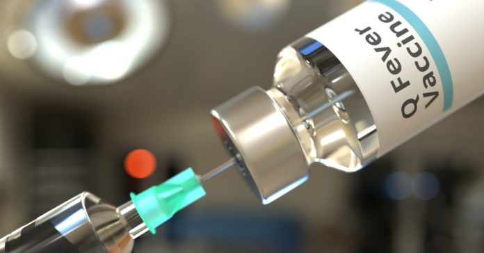 큐열이란? 큐열 원인, 큐열증상, 큐열 초기증상