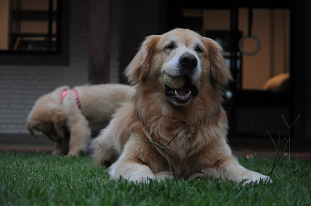 Happiness