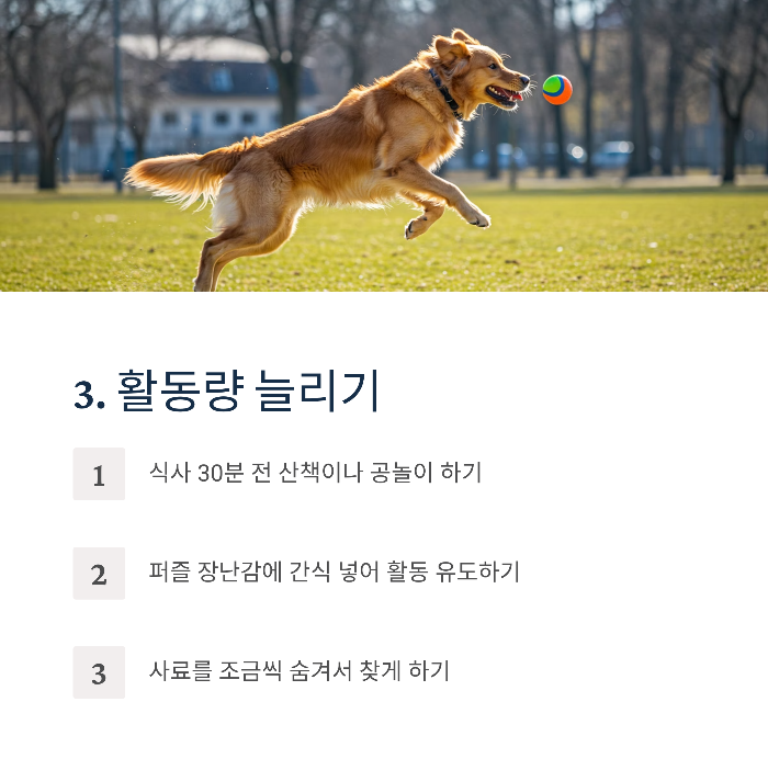 강아지 사료 안먹을 때