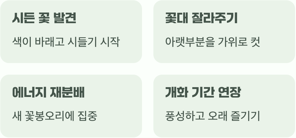 더 오래, 더 풍성하게 즐기는 비법