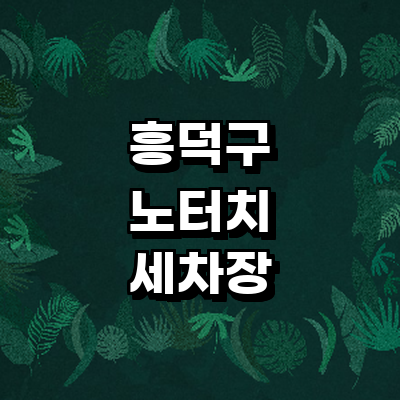 청주 흥덕구 노터치 세차